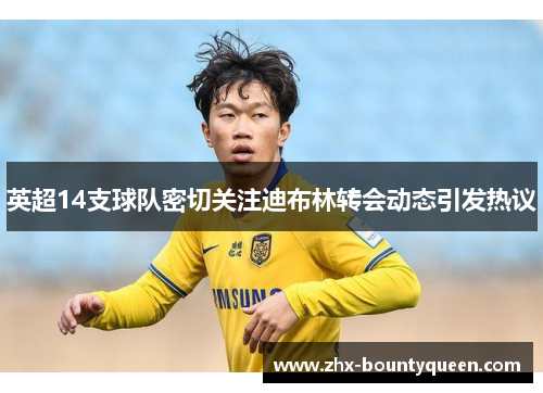 英超14支球队密切关注迪布林转会动态引发热议