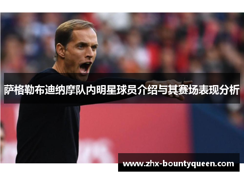 萨格勒布迪纳摩队内明星球员介绍与其赛场表现分析