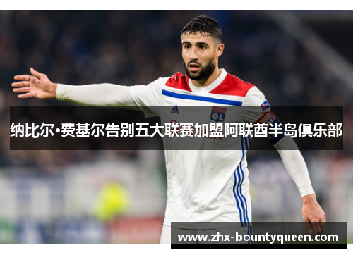 纳比尔·费基尔告别五大联赛加盟阿联酋半岛俱乐部 纳比尔·费基尔告别五大联赛加盟阿联酋半岛俱乐部